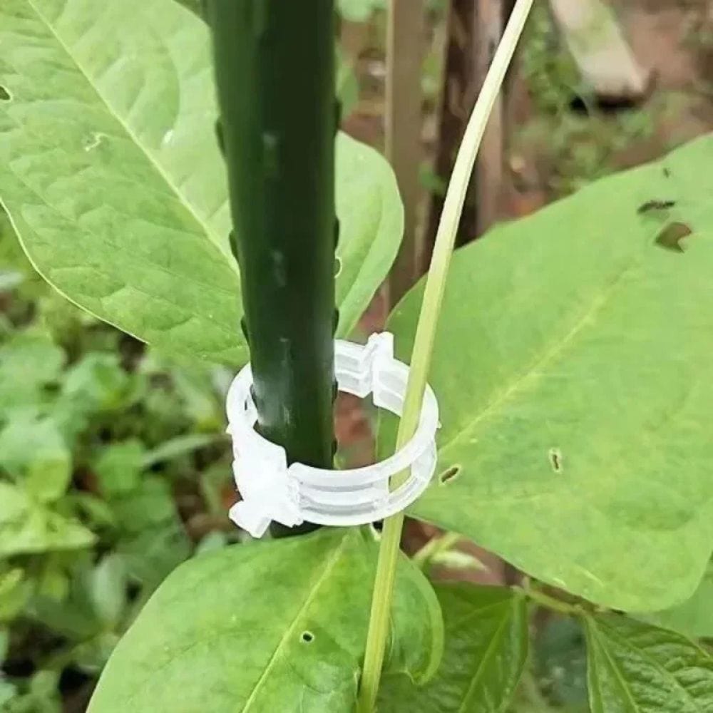 PlantGripz™ – Reusable Smart Clips for Plant Support (Buy 100 Get 100 Free)
