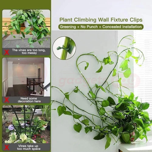 Plant Wall Clips (Pack Of 100 Pcs)