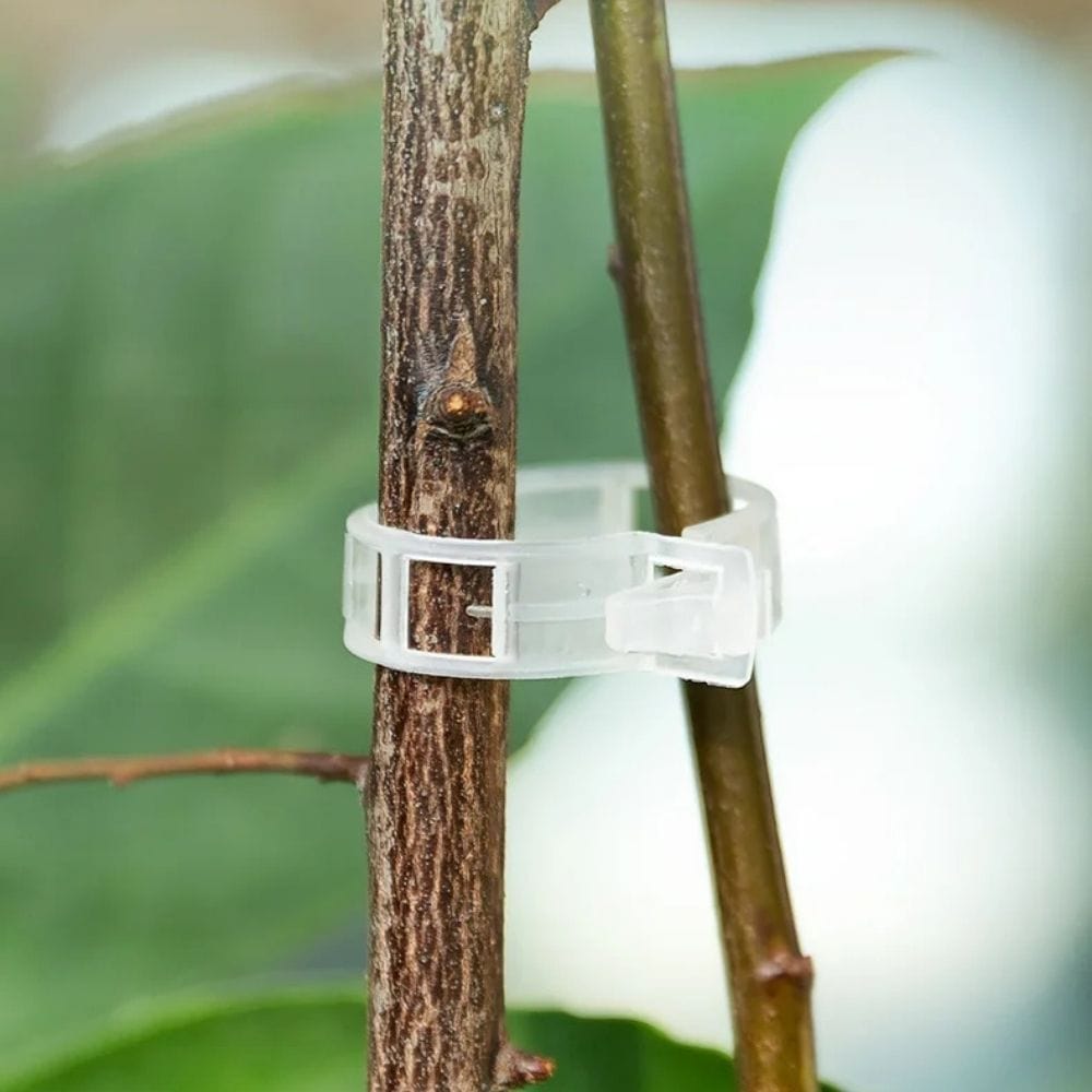 PlantGripz™ – Reusable Smart Clips for Plant Support (Buy 100 Get 100 Free)