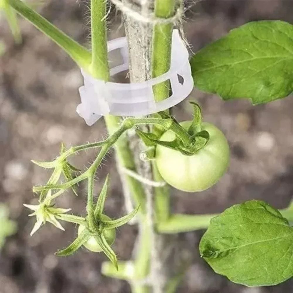 PlantGripz™ – Reusable Smart Clips for Plant Support