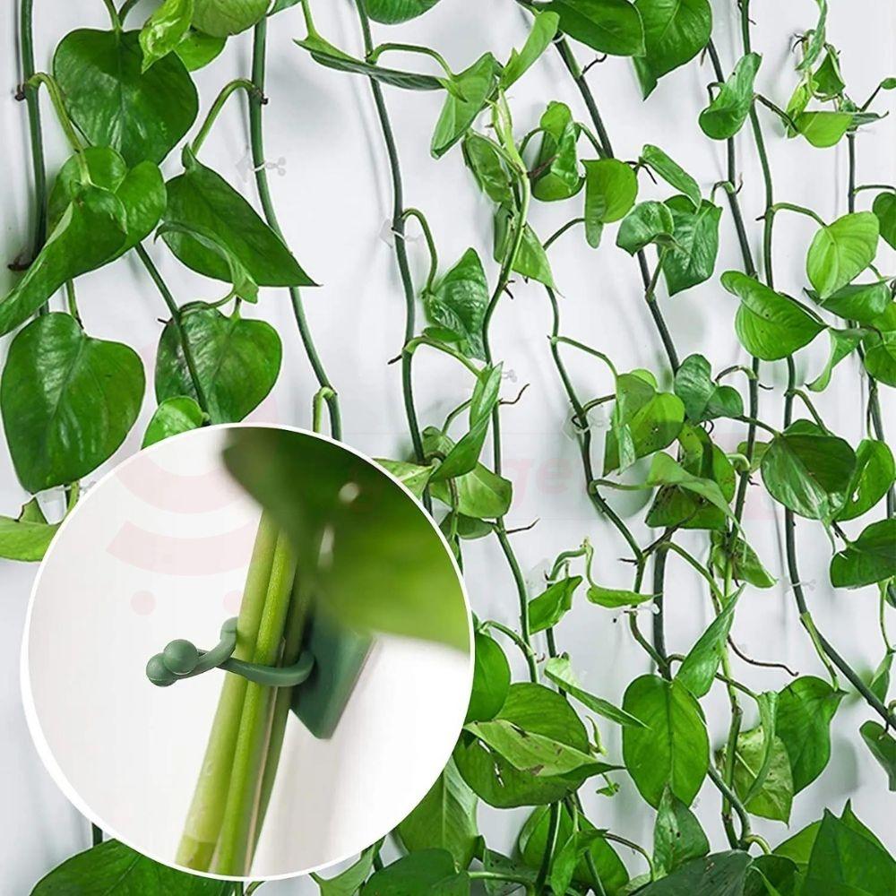 Plant Wall Clips (Pack Of 100 Pcs)