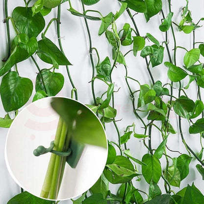 Plant Wall Clips (Pack Of 100 Pcs)