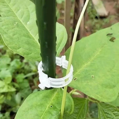 PlantGripz™ – Reusable Smart Clips for Plant Support (Buy 100 Get 100 Free)