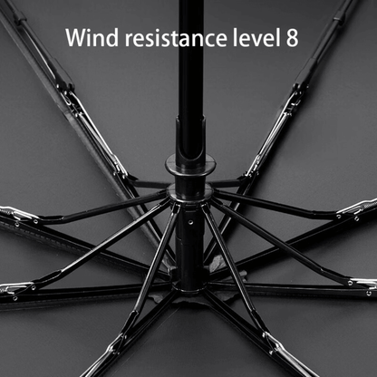 Automatic Open & Close Umbrella